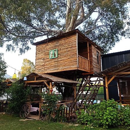 Daidala Life Bed & Breakfast เกอเจค ภายนอก รูปภาพ