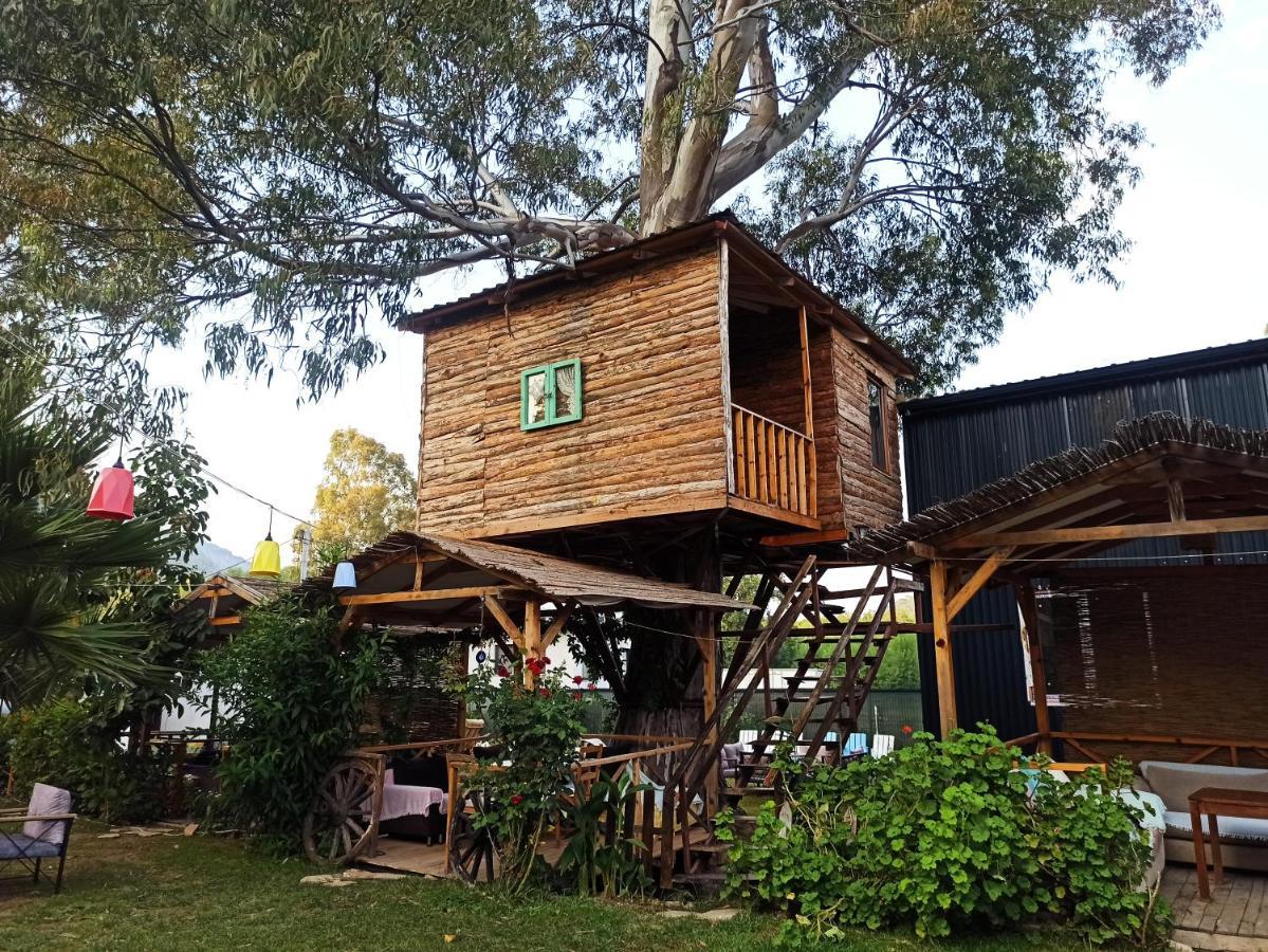 Daidala Life Bed & Breakfast เกอเจค ภายนอก รูปภาพ